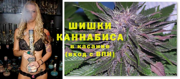 эйфоретик Вуктыл
