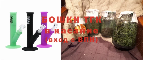сатива Нязепетровск
