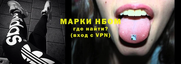PSILOCYBIN Няндома