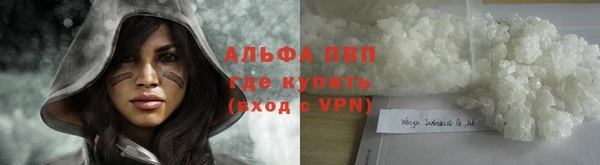 сатива Нязепетровск