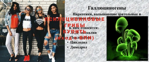 PSILOCYBIN Няндома