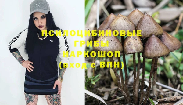 марки nbome Новодвинск