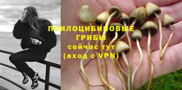 PSILOCYBIN Няндома