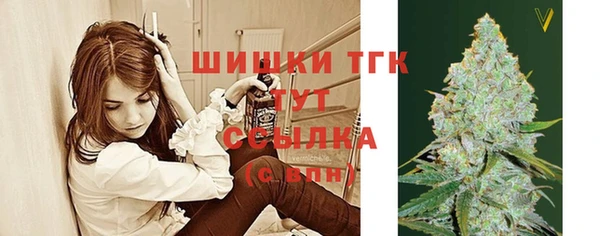 амф Новокубанск