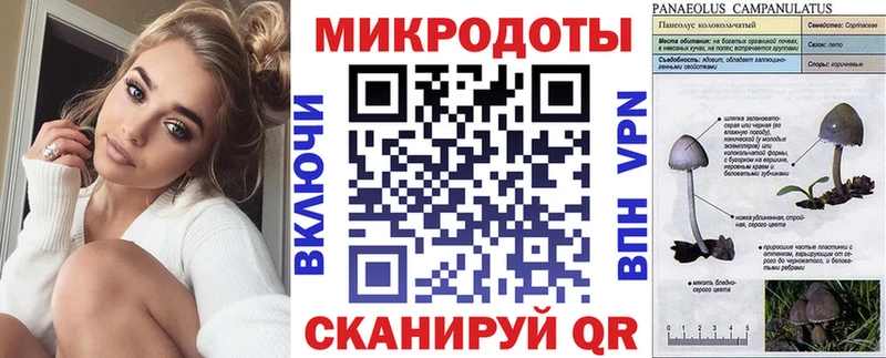 Галлюциногенные грибы Psilocybe  MEGA сайт  Ульяновск 