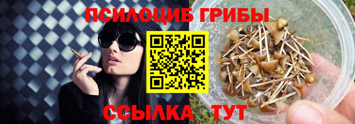 Галлюциногенные грибы мухоморы Ульяновск