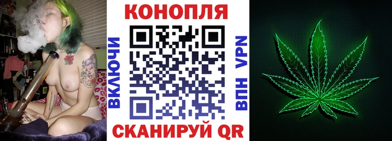 Канабис сатива  Ульяновск 